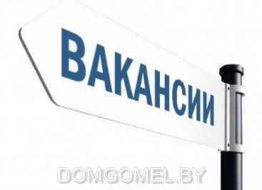 Вакансии агентства недвижимости «Твой риэлтер» в Гомеле, Речице и Мозыре
